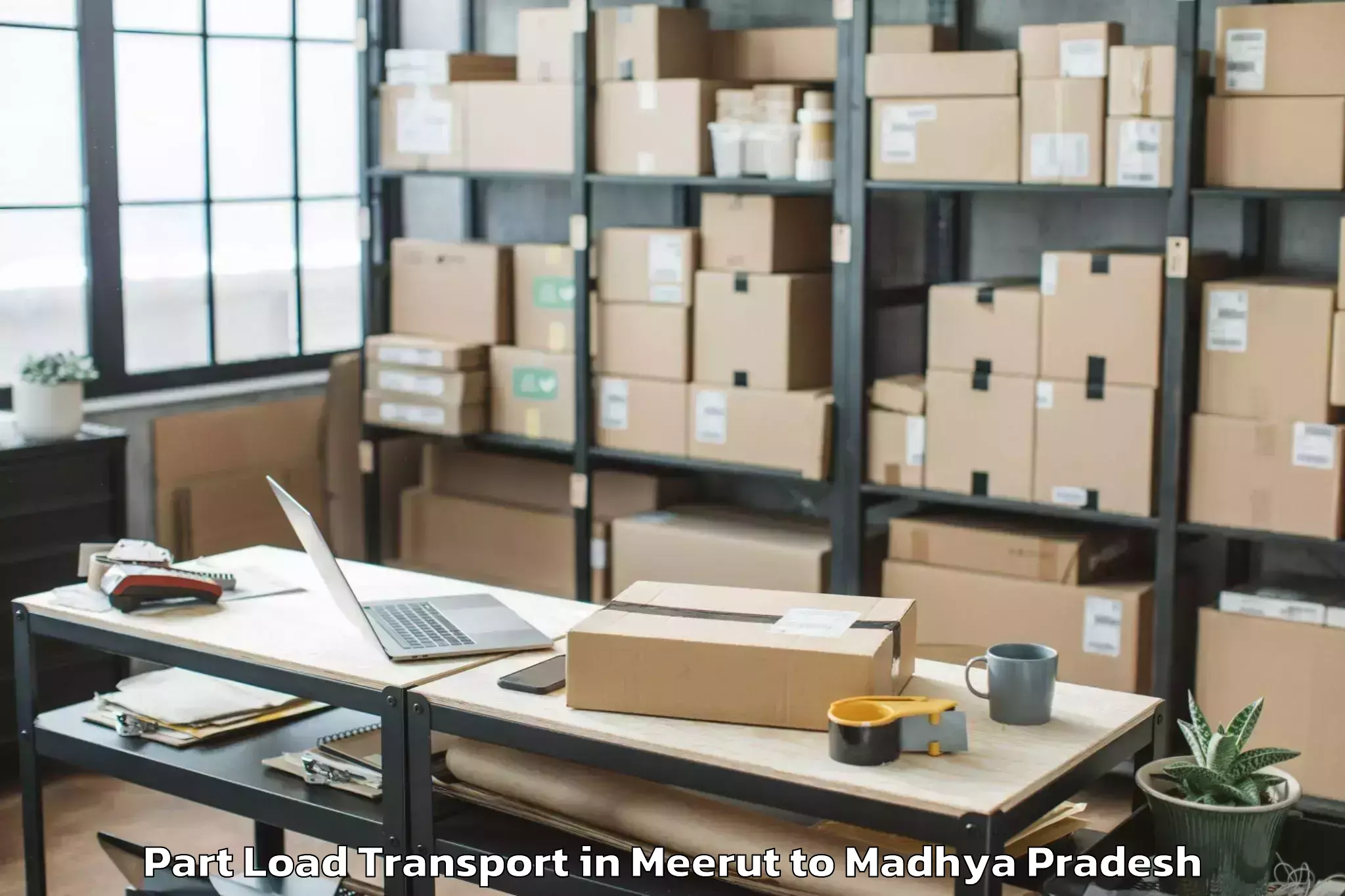 Book Meerut to Kutauli Part Load Transport Online